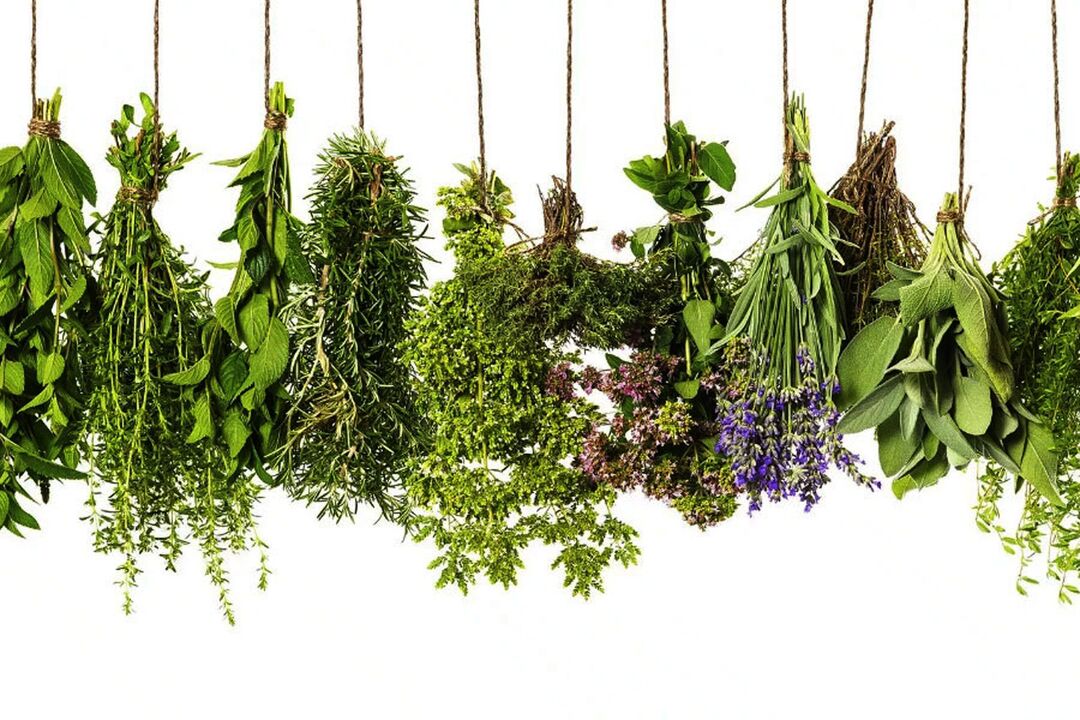 extracto de herbas tropicales en Eroboost